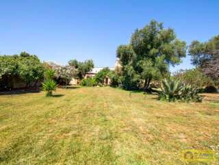 foto immobile Splendida Masseria Fortificata con Piscina, Immersa nella Campagna n. 52