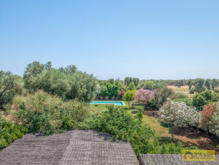 foto immobile Splendida Masseria Fortificata con Piscina, Immersa nella Campagna n. 57