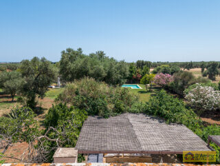 foto immobile Splendida Masseria Fortificata con Piscina, Immersa nella Campagna n. 58