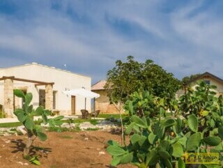 foto immobile Elegante Masseria del 1500, con Piscina, Immersa nel Verde n. 4