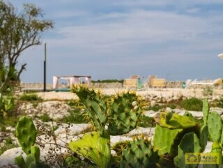 foto immobile Elegante Masseria del 1500, con Piscina, Immersa nel Verde n. 57