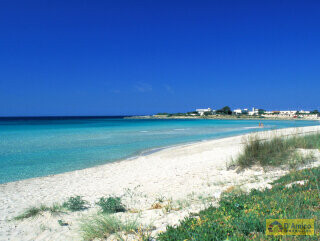foto immobile Splendida Masseria da Ristrutturare con Corte e Appartamenti n. 11
