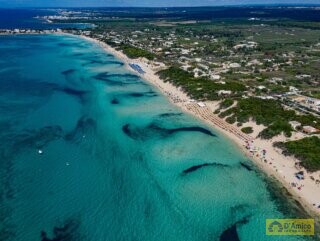 foto immobile Splendida Masseria da Ristrutturare con Corte e Appartamenti n. 13
