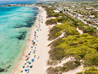 foto immobile Splendida Masseria da Ristrutturare con Corte e Appartamenti n. 14
