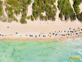 foto immobile Splendida Masseria da Ristrutturare con Corte e Appartamenti n. 15