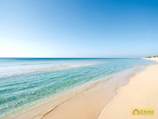 foto immobile Splendida Masseria da Ristrutturare con Corte e Appartamenti n. 17