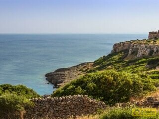 foto immobile Splendida Masseria da Ristrutturare con Corte e Appartamenti n. 22