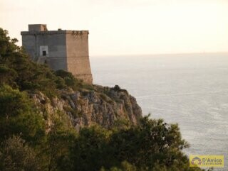 foto immobile Splendida Masseria da Ristrutturare con Corte e Appartamenti n. 23
