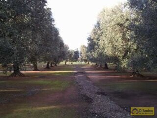 foto immobile Splendida Masseria da Ristrutturare con Corte e Appartamenti n. 25