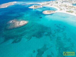foto immobile Splendida Masseria da Ristrutturare con Corte e Appartamenti n. 4