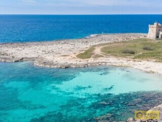 foto immobile Splendida Masseria da Ristrutturare con Corte e Appartamenti n. 6