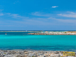 foto immobile Splendida Masseria da Ristrutturare con Corte e Appartamenti n. 7