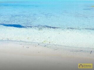 foto immobile Splendida Masseria da Ristrutturare con Corte e Appartamenti n. 8