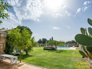 foto immobile Antica Masseria Salentina a 5km dal mare di Gallipoli n. 4