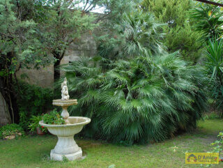 foto immobile Prestigioso Palazzo signorile in vendita in Valle d'Itria n. 30