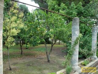 foto immobile Prestigioso Palazzo signorile in vendita in Valle d'Itria n. 31