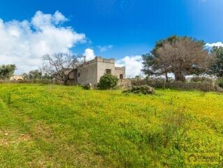 foto immobile Villa a rustico vista mare in vendita a Pescoluse n. 21