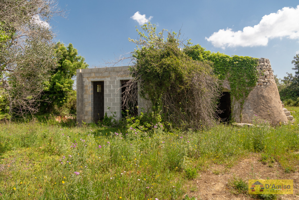 foto immobile Fabbricato rurale a Salve, con ulivi secolari e progetto per una seconda Villa n. 9