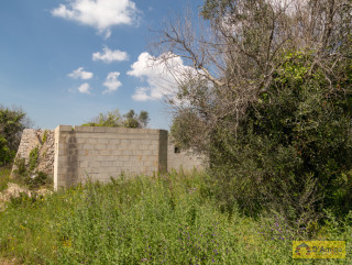 foto immobile Fabbricato rurale a Salve, con ulivi secolari e progetto per una seconda Villa n. 12