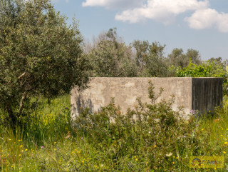 foto immobile Fabbricato rurale a Salve, con ulivi secolari e progetto per una seconda Villa n. 16