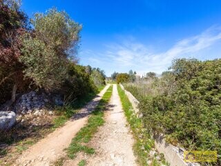 foto immobile Villa chiavi in mano, a Santa Maria di Leuca, con piscina e vista mare n. 16