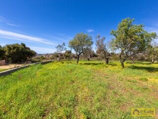 foto immobile Villa chiavi in mano, a Santa Maria di Leuca, con piscina e vista mare n. 17