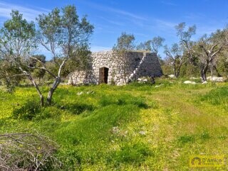 foto immobile Villa chiavi in mano, a Santa Maria di Leuca, con piscina e vista mare n. 24