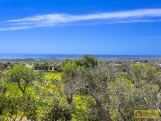 foto immobile Villa chiavi in mano, a Santa Maria di Leuca, con piscina e vista mare n. 30