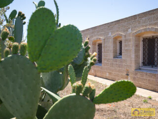 foto immobile Villa in tipica pietra salentina con jacuzzi vista mare a Torre Vado n. 21