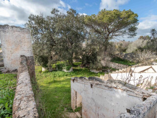 Ancient Masseria Immersed in The Countryside