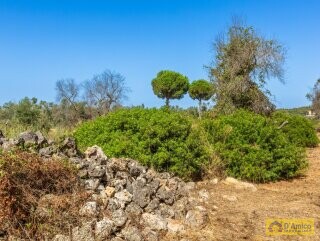 foto immobile Affascinante Villa di nuova costruzione a Castrignano del Capo, nel Salento n. 41