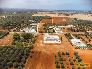 foto immobile Incantevole Villa con piscina a pochi km dal mare di Carovigno n. 39