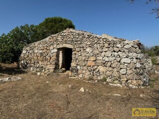 foto immobile Terreno con Progetto per Villa con Piscina a 5km da Torre Vado n. 10