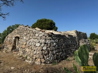 foto immobile Terreno con Progetto per Villa con Piscina a 5km da Torre Vado n. 11