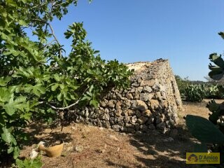 foto immobile Terreno con Progetto per Villa con Piscina a 5km da Torre Vado n. 12