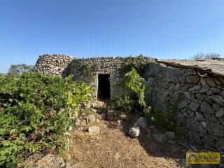 foto immobile Terreno con Progetto per Villa con Piscina a 5km da Torre Vado n. 14