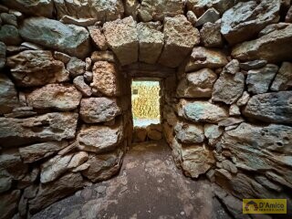 foto immobile Terreno con Progetto per Villa con Piscina a 5km da Torre Vado n. 17