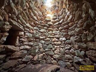 foto immobile Terreno con Progetto per Villa con Piscina a 5km da Torre Vado n. 18