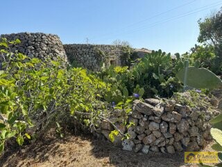 foto immobile Terreno con Progetto per Villa con Piscina a 5km da Torre Vado n. 23