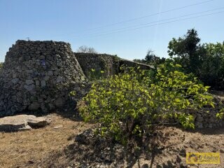foto immobile Terreno con Progetto per Villa con Piscina a 5km da Torre Vado n. 24