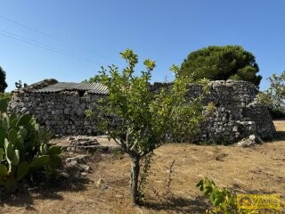 foto immobile Terreno con Progetto per Villa con Piscina a 5km da Torre Vado n. 25