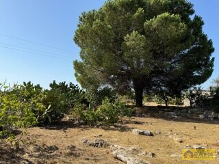 foto immobile Terreno con Progetto per Villa con Piscina a 5km da Torre Vado n. 26