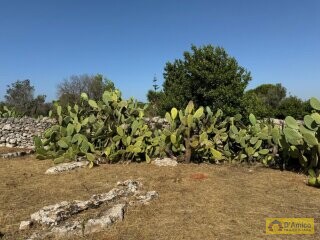 foto immobile Terreno con Progetto per Villa con Piscina a 5km da Torre Vado n. 27