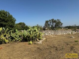 foto immobile Terreno con Progetto per Villa con Piscina a 5km da Torre Vado n. 28
