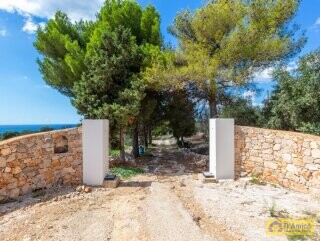 foto immobile Splendida villa con piscina vista mare da realizzare, con Guest House già pronta n. 24