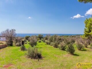 foto immobile Splendida villa con piscina vista mare da realizzare, con Guest House già pronta n. 25