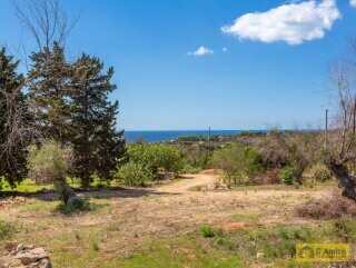 foto immobile Splendida villa con piscina vista mare da realizzare, con Guest House già pronta n. 27
