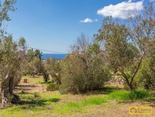 foto immobile Splendida villa con piscina vista mare da realizzare, con Guest House già pronta n. 29