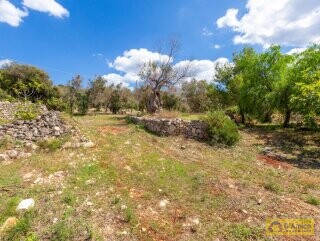 foto immobile Splendida villa con piscina vista mare da realizzare, con Guest House già pronta n. 30