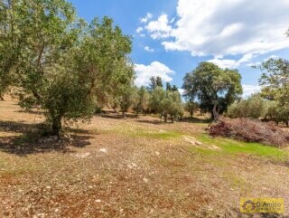 foto immobile Splendida villa con piscina vista mare da realizzare, con Guest House già pronta n. 32